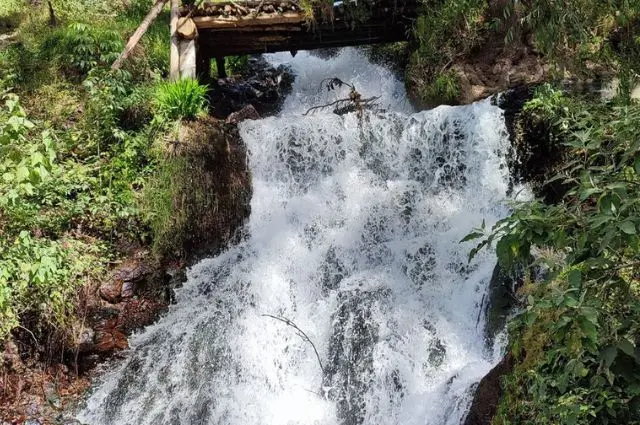 Tianguismanalco